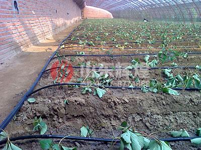 農業灌溉用pe管有汙染嗎？